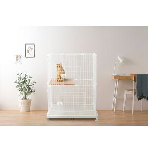 y}\I|Cg5{IԌIzybg P[W 2i i3Fj ct47612