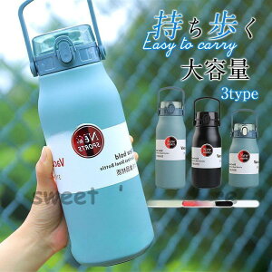 yԌI1zI܂Ƃߔ2wN[|pŁI z XeX{g ۗ ۉ ^ 1bg L Lv X|[c{g hN{g Y 1000ml  