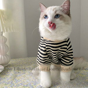 y}\I1zI܂Ƃߔ2wN[|pŁI zybgpEFA ybgpi Lm L ` p[X  t g[i[ JCC hbO