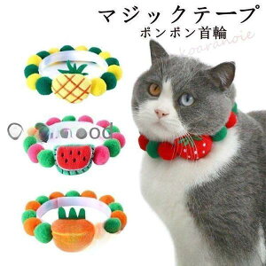 y50̂I1zI܂Ƃߔ2wN[|pŁI zLp L ˂т ybg }WbNe[v Jt \ փ|| ޖLx lR Ck 