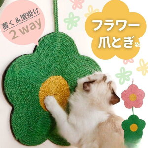 y}\I1zI܂Ƃߔ2wN[|pŁI z܂Ƃ L  ܌   ΍ ObY P[W }bgCeA V[g  \t@ ˂ lR 