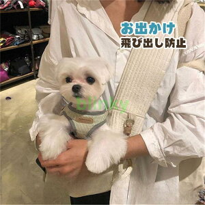 yubNtCf[I1zI܂Ƃߔ2wN[|pŁI z XO ybgXO L Ђ L[obO hbOXO ^ o| U яo