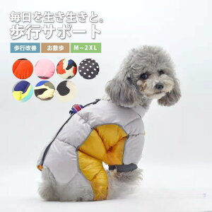 y50̂I1zI܂Ƃߔ2wN[|pŁI zybg ybgEGA L  H ~ _ER[g hbOEFA ybgp p   L ӂ 