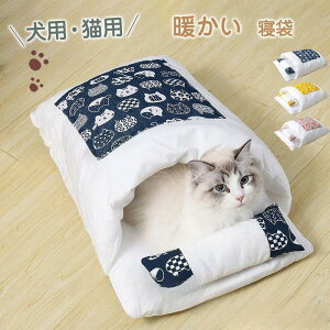 y50̂I1zI܂Ƃߔ2wN[|pŁI zybgxbh  L Lp g Q hbNxbh ~ yX }bg 킢 ybgObY Q pi LnEX