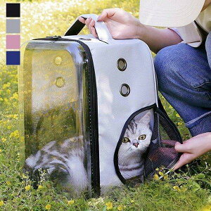 y50̂I1zI܂Ƃߔ2wN[|pŁI zybgpi ybgObY L[P[X L[obN bN o UObY NA X|[eB[ 