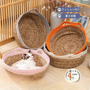 y50̂I1zI܂Ƃߔ2wN[|pŁI zybgxbh ^p 􂦂 ҂ NbVt pi ˂pi ybg JS  ybgQ xbh Lx