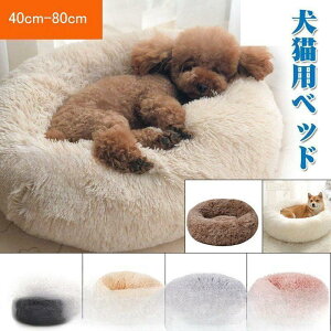 y50̂I1zI܂Ƃߔ2wN[|pŁI zxbh pi ybgpxbh  ybg  Lpi }bg NbV ybgxbh t H ~ Q Lxbh