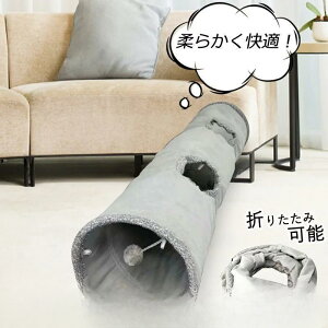 y50̂I1zI܂Ƃߔ2wN[|pŁI zL  gl {[ L̂ XpC L炵 ybgpi  ˂ LbggC