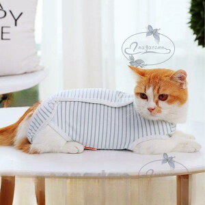 y}\I1zI܂Ƃߔ2wN[|pŁI zp㕞 Lp pEFA Yp ybg앞 ʋC _炩 ی r XgCv D  ~h