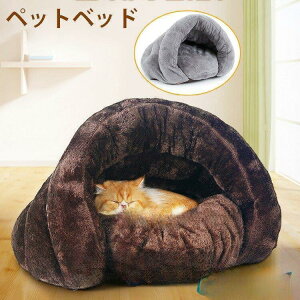 y50̂I1zI܂Ƃߔ2wN[|pŁI zybgxbh ~ xbh Lxbh LnEX ۉ Q {A NbV  g  ybgxbh Nb