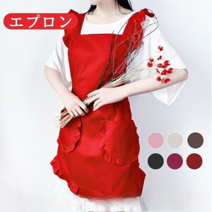 y50̂I1zI܂Ƃߔ2wN[|pŁI zVvGv ̓ O  ۈm JtF G | V[g Xg e@ GXe |Pb