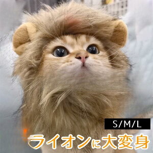 y}\I1zI܂Ƃߔ2wN[|pŁI zL Ԃ ybgp EBbO CI 킢 蕨 ybgANZT[ Ă  LpXq Be