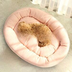 y50̂I1zI܂Ƃߔ2wN[|pŁI zybgxbh 􂦂 ybg}bg  L ^ ^ q qLV }bg ېOK ybgNbV ~