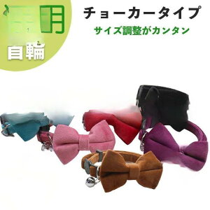 y50̂I1zI܂Ƃߔ2wN[|pŁI zLp {  Lp L  { SobN [ht L^obN