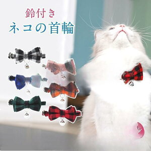 y50̂I1zI܂Ƃߔ2wN[|pŁI zlR  t { `FbN l 킢 J[  [h ߉ _u{