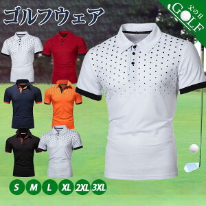 yubNtCf[I1zI܂Ƃߔ2wN[|pŁI zStEFA |Vc Y TVc  rWlX v[g ̓ _炩 JWA S