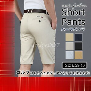 y50̂I1zI܂Ƃߔ2wN[|pŁI zV[gpc Y n[tpc Stpc Y{  ڐG⊴ Ђ n  rWlX St 