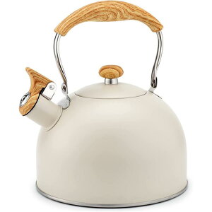 ₩ 2.5L JPbg Pg L XeX ؖڃnh e IHΉ IV x[W