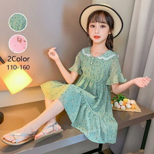 2Fq s[X ̎q  ԕ G Ђ  ꂢ qǂ    \ w ؍ʊw