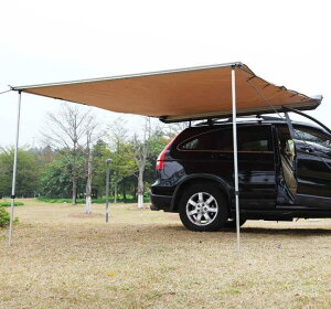 eg TVF[h eg OP Jo[ Lv  h lC  AEghA v[g ܂肽 2025