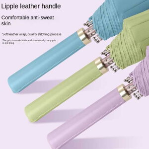 St Au P rWlXp J  lC TVF[h v[g 12{[ y NVbN nh Stpi ֗  ɋ