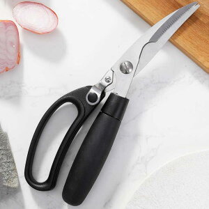 Lb` ͂ { Ƌ    ؒf wr[f[eB XeX|  lC  ֗ 䏊p   Lb`pi y D