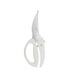 Lb`͂ @\ XeX| ƒp  ϋv ֗ y ؂ꖡ {    