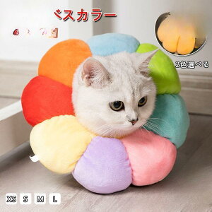 y50̂I1zI܂Ƃߔ2wN[|pŁI zGUxXJ[ \tg^Cv Lp Lpi LObY p pi ObY ybgpi GUxX h[ic  