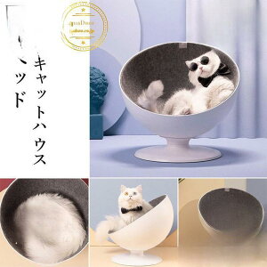 y50̂I1zI܂Ƃߔ2wN[|pŁI zLxbh Lbg xbh nEX n[t h[^ ^ 360°]  킢 K 芴