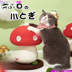 yubNtCf[I1zI܂Ƃߔ2wN[|pŁI zLp ܂Ƃ LmR ܂Ƃ ɂ ̂  IuWF CeA ˂ ybgpi