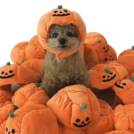 【お買い物マラソン限定！1着半額！まとめ買い2枚購入割引クーポン利用で！ 】ハロウィン かぼちゃ帽子 パンプキンドッグウェア ペット 簡単 仮装 犬 服 秋冬 犬 服 ペット コスプレ ハロウィン衣装 犬服