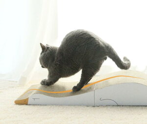 y50̂I1zI܂Ƃߔ2wN[|pŁI z Aq L̒܌ ܂肽 Lxbg ό` ^ _{[ LXNb`{[h 킢 Lpi