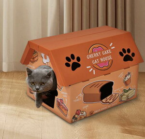 y50̂I1zI܂Ƃߔ2wN[|pŁI zCXg LnEX 킢 2F _{[ L̑ Lp ܌{[h Lpi CeA