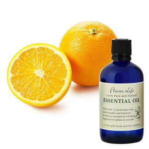 y50̂I|Cg5{IԌIzt[o[Ct GbZVIC XC[gIW  100ml ct62654