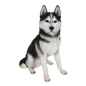 y50̂I|Cg5{IԌIzE[rA VxAnXL[̒u ij H19273 ct64105