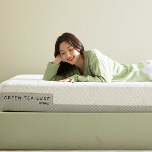 �y�|�C���g�ő�12�{!���������}���\���I�zZinus Green Tea Luxe �n�C�u���b�h�}�b�g���X �Z�~�_�u�� ct65190