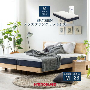 �y�ő�|�C���g5�{!�{������I�z�t�����X�x�b�h ROLY POLY 2 �m���X�v�����O�}�b�g���X �Z�~�_�u�� ct68124