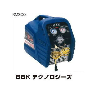 ICXtIJ[{u RM300 t@ BBK