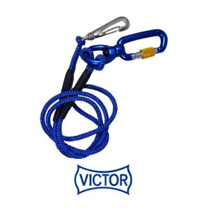 �Z�[�t�e�B�R�[�h�X����1kg �� ���b�N�t VPCL-1BL �r�N�^�[�v���X VICTORPLUS