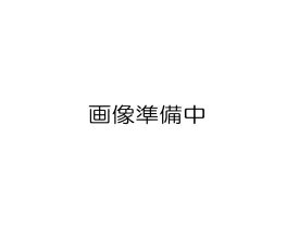コントロールバルブ(A33000S)用 パッキン(10ヶ入) CVP345 BBK 文化貿易