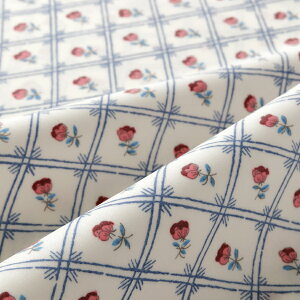 SOULEIADO \CA[h n ~l[gn rj[R[eBO E{[@AC{[ e[uNX  |[`  obO \[CO nhCh v@X 앧 tX e