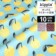 kippis オックスラミネート生地 Mikan/みかん ミントグリーン | キッピス 生地 布 布地 はぎれ カット布 …