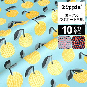 yX[p[SALEԒ|Cg15{zkippis IbNX~l[gnMikan/݂ ~gO[ | LbsX n z zn ͂ Jbgz JbgNX k k k CeA 