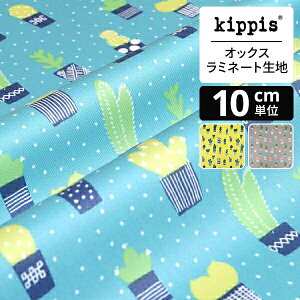 kippis IbNX~l[gnKaktus/JN^X/T{eu[ | LbsX n z zn ͂ Jbgz JbgNX k k k CeA  킢 l炵