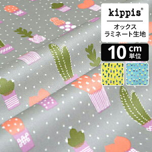 kippis IbNX~l[gnKaktus/JN^X/T{eO[ | LbsX n z zn ͂ Jbgz JbgNX k k k CeA  킢 l炵
