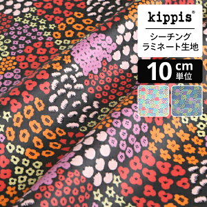 kippis V[`O~l[gnJuhannus/nkX/ĎՃ`R[ | LbsX n z zn ͂ Jbgz JbgNX k k k CeA  킢 l炵