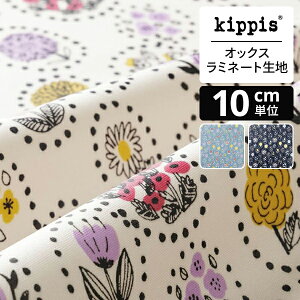 yCxgԒ|Cg10{zkippis IbNX~l[gnKeskukka/PTNbJ/ẲԃAC{[