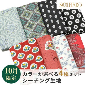 SOULEIADO \CA[h n V[`O JbgNXZbg 1000~|bL  10ZNg \CA[hICVbv nM ͂  | nhCh |[` pb