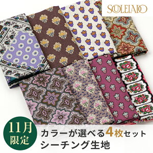 SOULEIADO \CA[h n V[`O JbgNXZbg 1000~|bL  11ZNg \CA[hICVbv nM ͂  | nhCh |[` pb