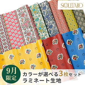 SOULEIADO \CA[h ~l[g n JbgNXZbg 1000~|bL  9ZNg nM ͂  | \[CO g JbgNX tX  \[CO n